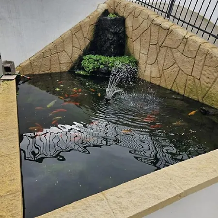 فيلة Gpw Icod De Vinios *